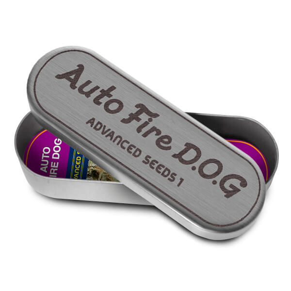 Fire Dog Auto - Alchimia
