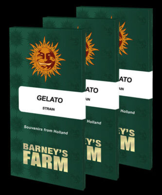 Gelato - Barney's Farm - Alchimia