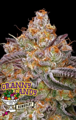 Granny Candy - Alchimia