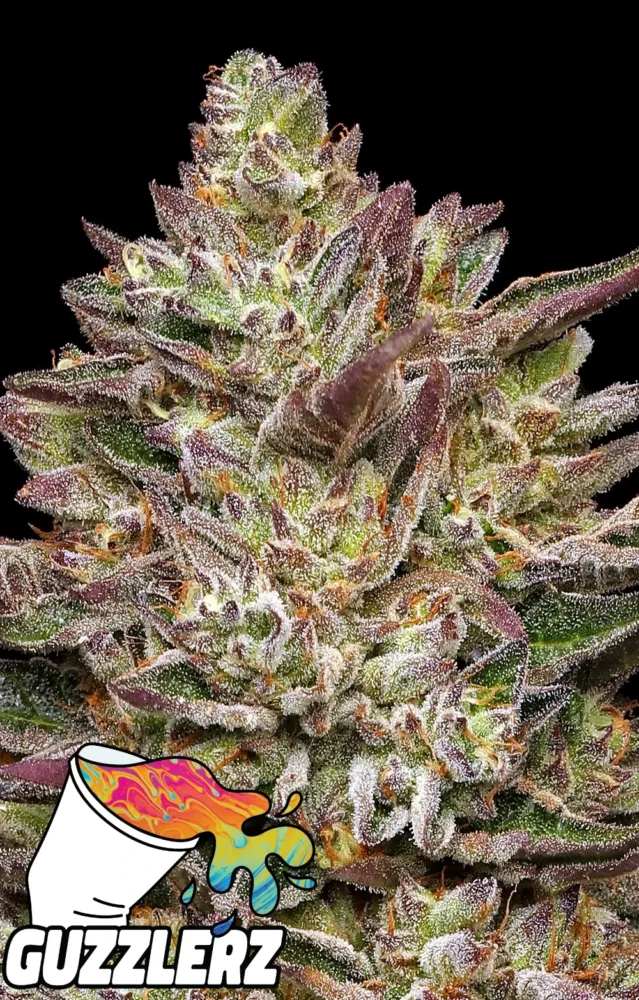 Guzzlerz - Alchimia