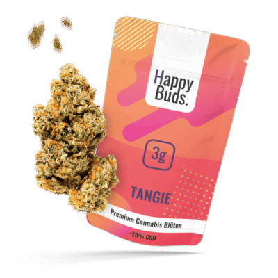 Tangie - HappyBuds
