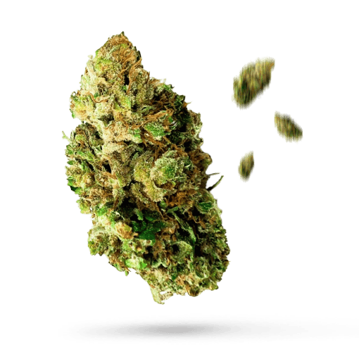 Lemon Haze - THCA Blüten Hempli - Hempli
