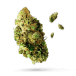 Silver Haze - THCA Blüten Hempli - Hempli