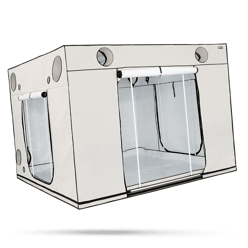 Homebox Ambient Q300+ - Grow Guru