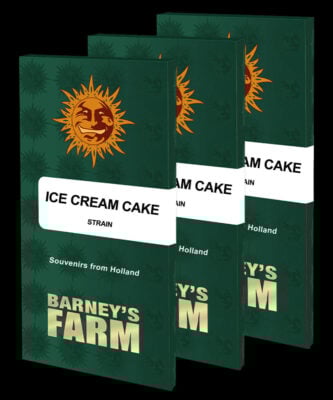 Ice Cream Cake - Alchimia