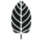 Kratom