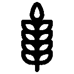 Lavendel
