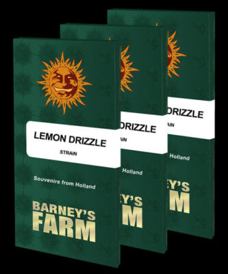 Lemon Drizzle - Alchimia
