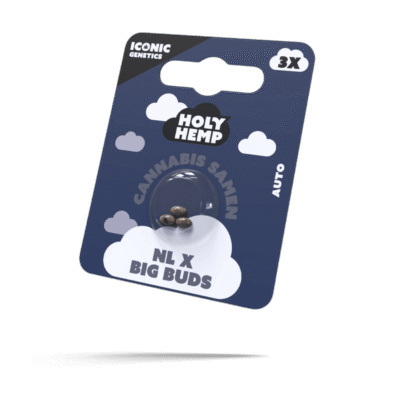 NL x Big Buds Samen – Autoflower – HappyBuds