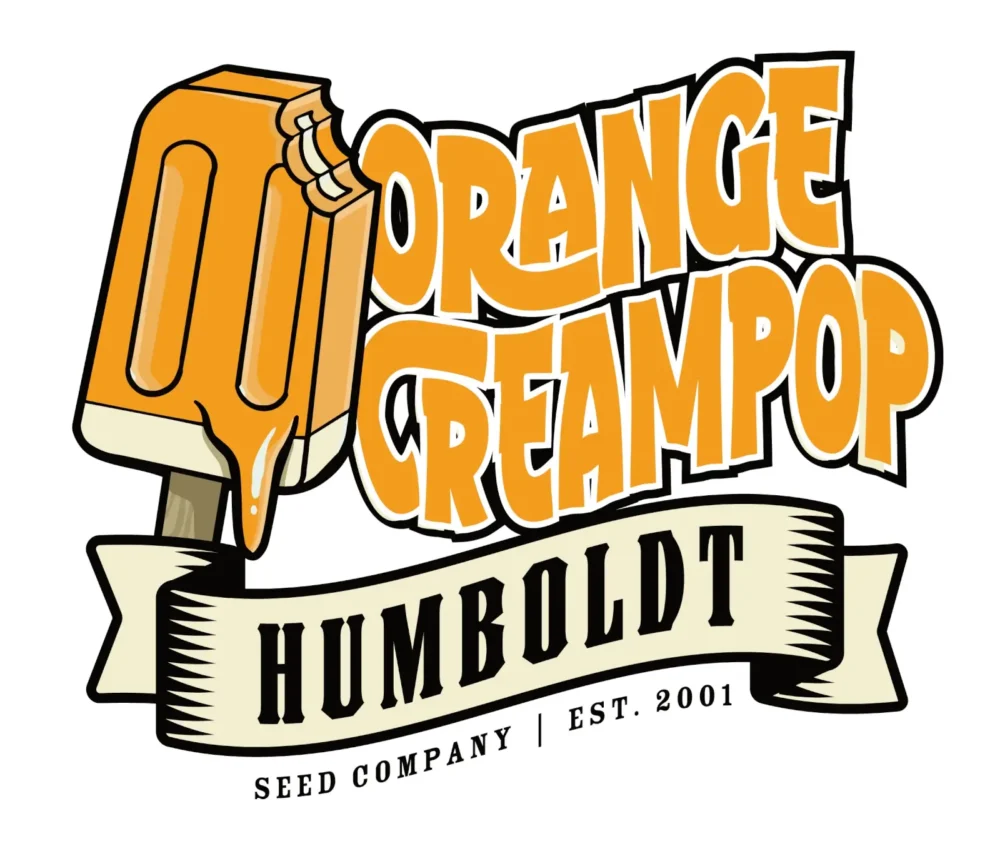 Orange Creampop - Alchimia
