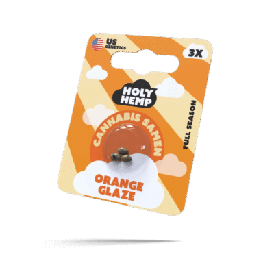 Orange Glaze Samen - Feminisiert - HappyBuds