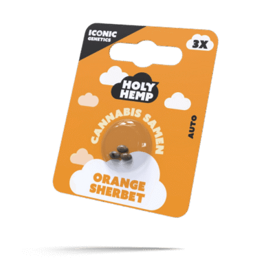 Orange Sherbet Samen – Autoflower – HappyBuds
