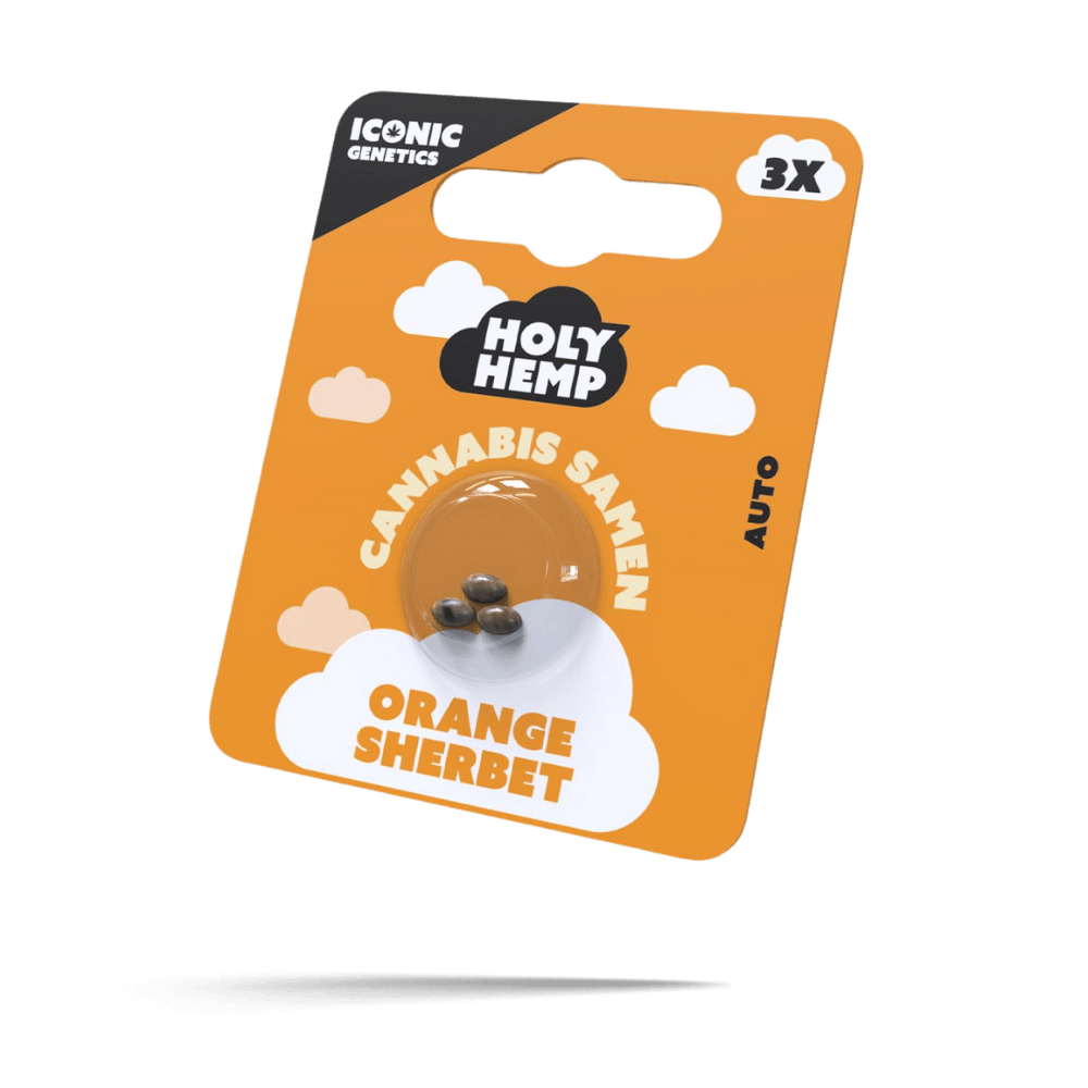 Orange Sherbet Samen - Autoflower - HappyBuds