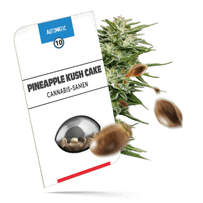 Pineapple Kush Cake Samen – Autoflower – Sensi Seeds