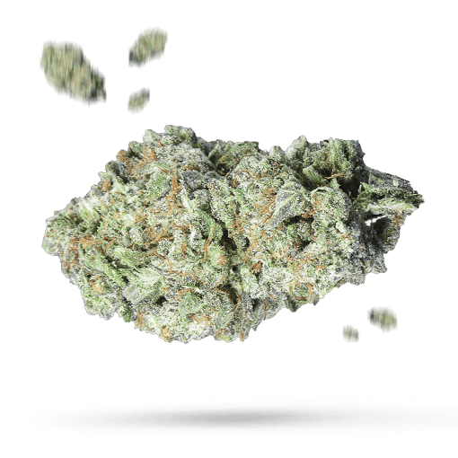 Pure Power Plant Samen - Autoflower - Sensi Seeds