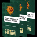 Purple Punch x Lemon Drizzle