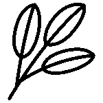 Salbei