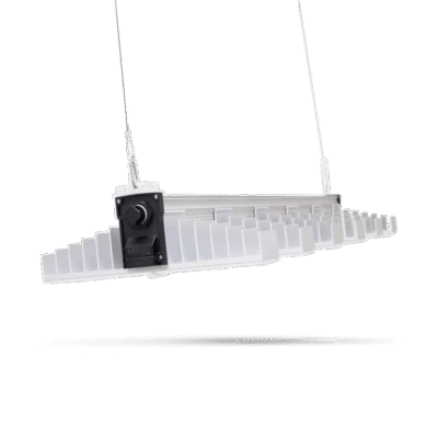 SANlight EVO 6 - Grow Guru