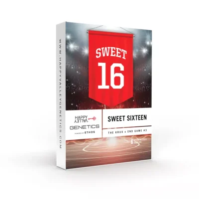 Sweet 16 - Alchimia