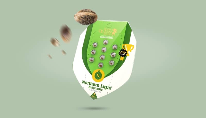 THC Samen - Produktkategorie