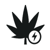 THC