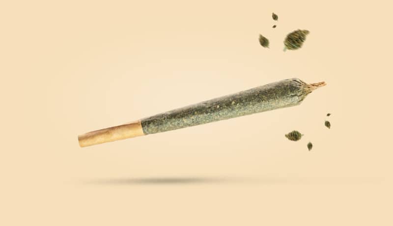 THCP - Produktkategorie