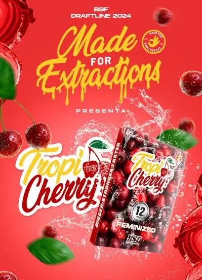 Tropicherry - Alchimia