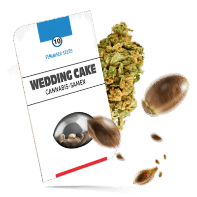 Wedding Cake Samen - Feminisiert - Hanfgarten