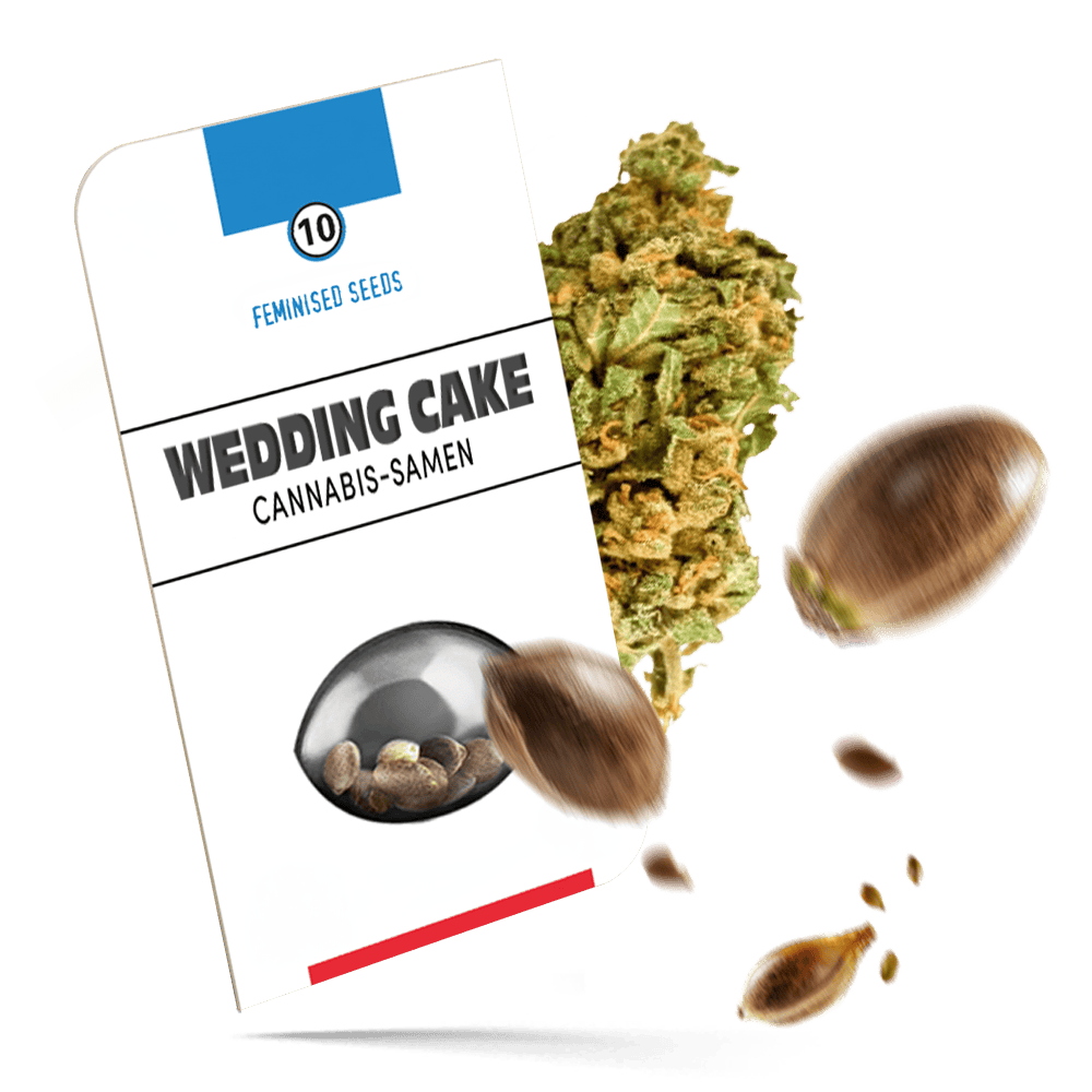 Wedding Cake Samen - Feminisiert - Hanfgarten