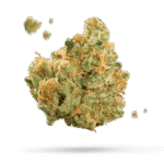 White Widow Samen - Feminisiert