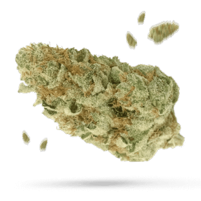 White Widow Samen – Autoflower – Sensi Seeds