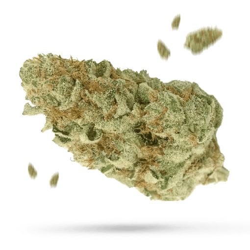 White Widow Samen - Autoflower - Happy420