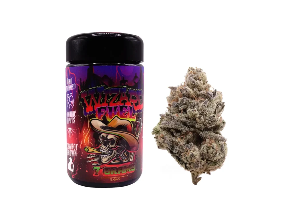 Wizard Fuel - Alchimia