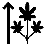 Wuchshöhen