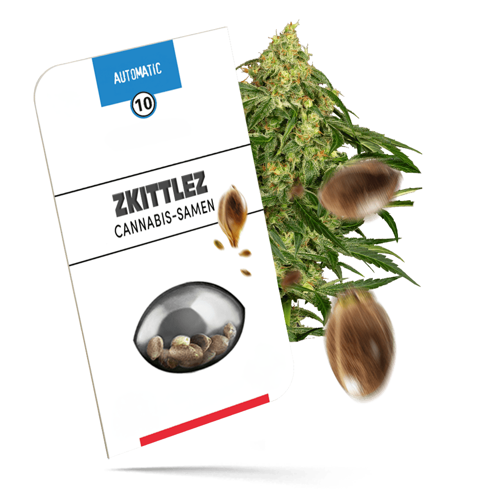 Zkittlez Samen - Autoflower - Sensi Seeds