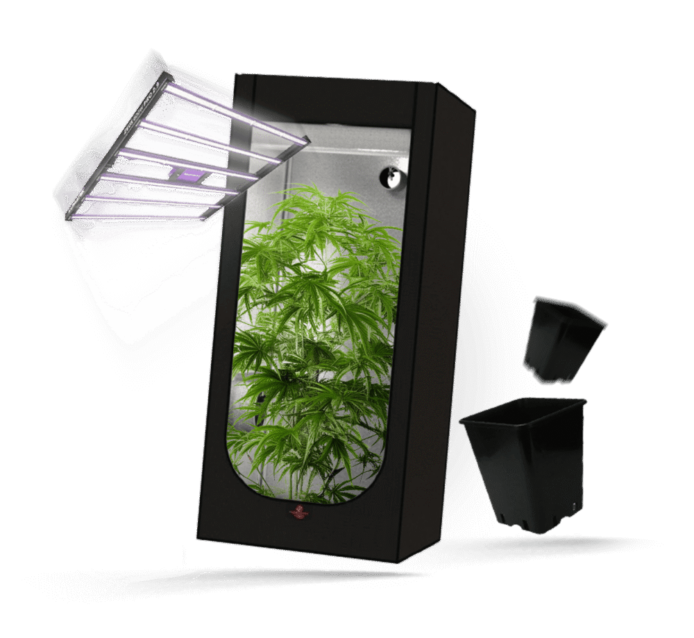 Homegrow
