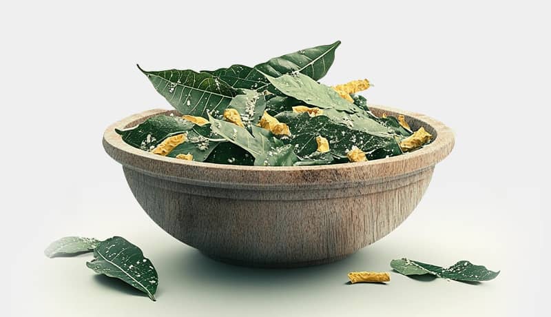 Ayahuasca