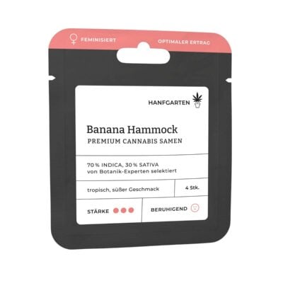 Banana Hammock Feminisiert - Hanfgarten