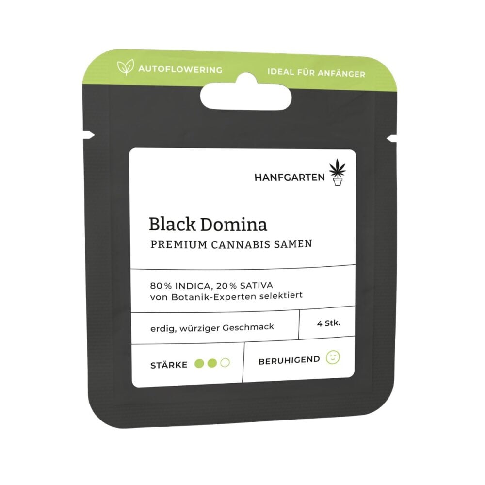 Black Domina Autoflowering - Hanfgarten