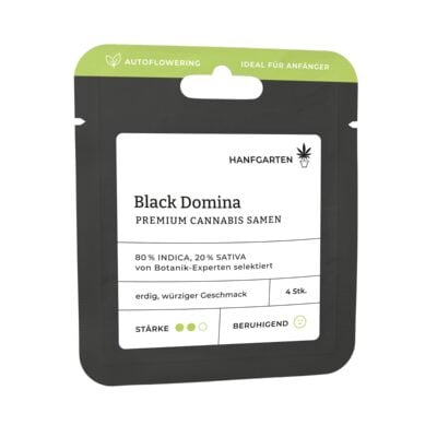 Black Domina Autoflowering – Hanfgarten