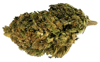 Blackberry OG CBG9 Blüten 1g - Cannaconda