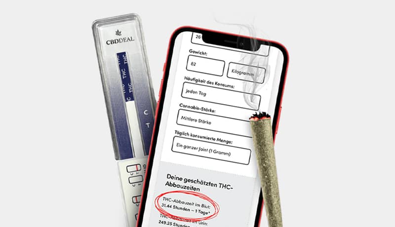 Alles über die verschiedenen Cannabis-Konsumformen