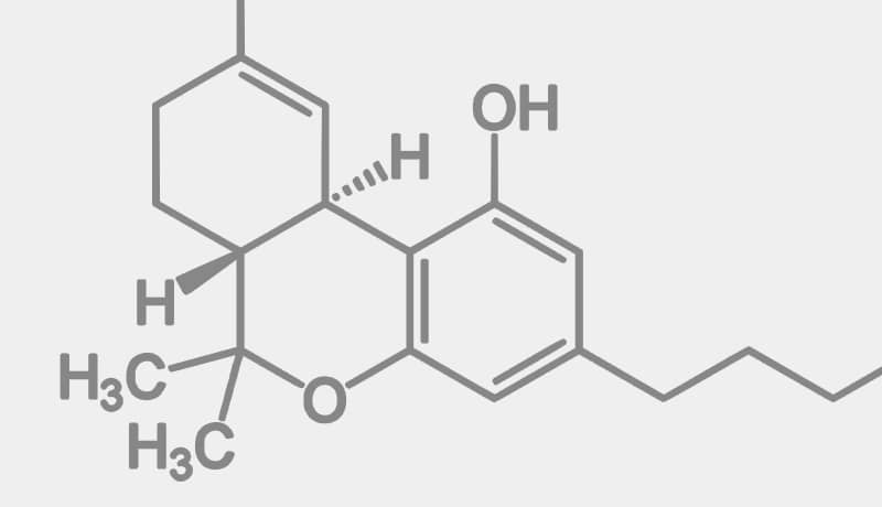 THC-Ratgeber
