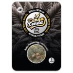 White Widow Auto Feminised Cali Seeds