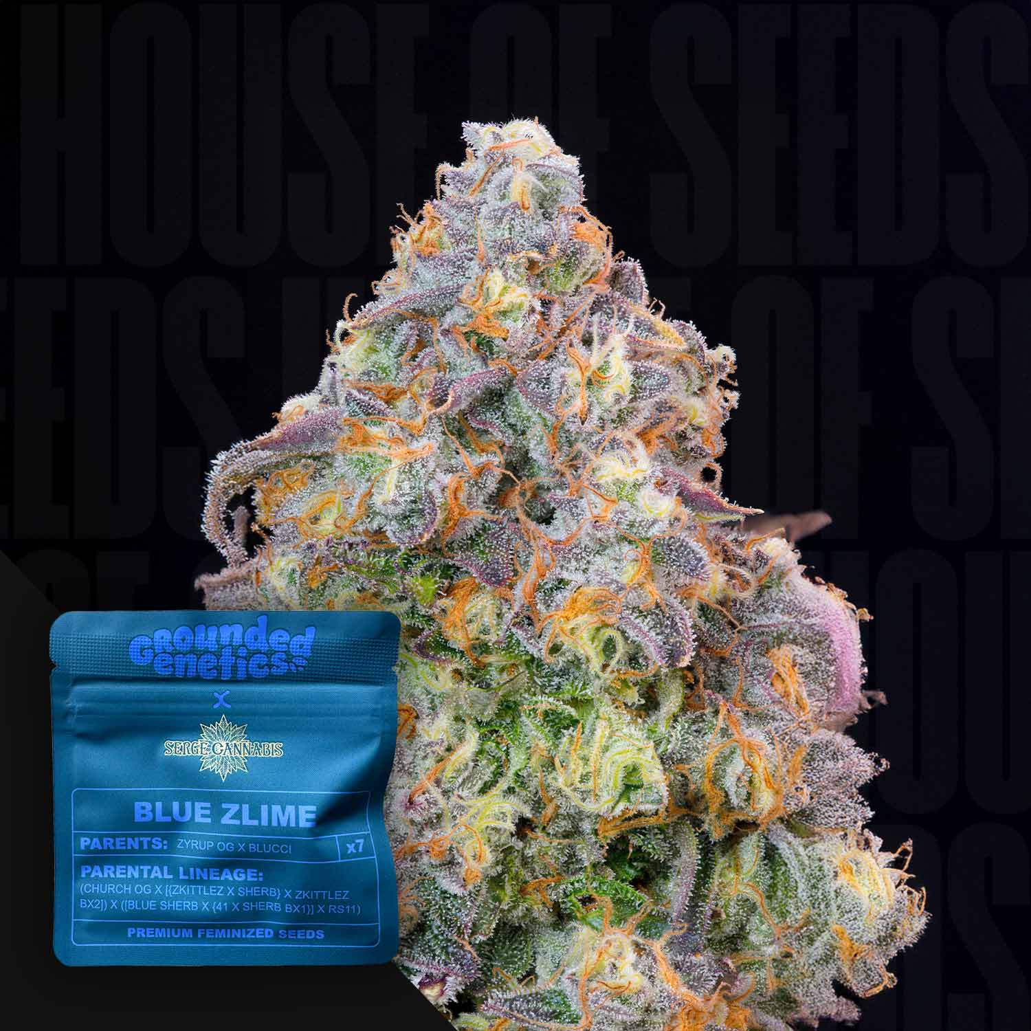 Blue Zlime - House of Seeds
