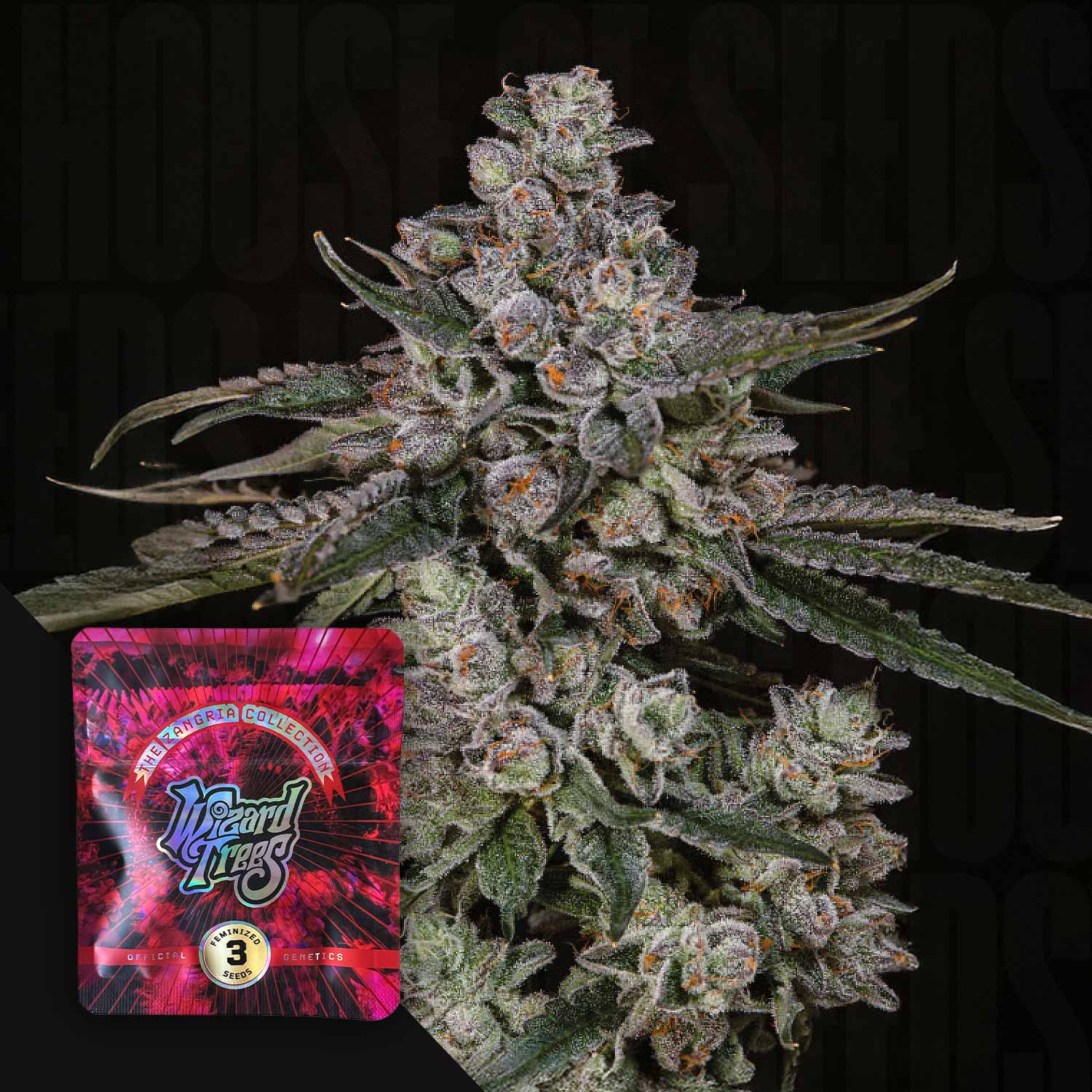 British Delight - House of Seeds