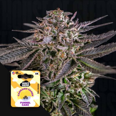 Funnel Cake - House of Seeds