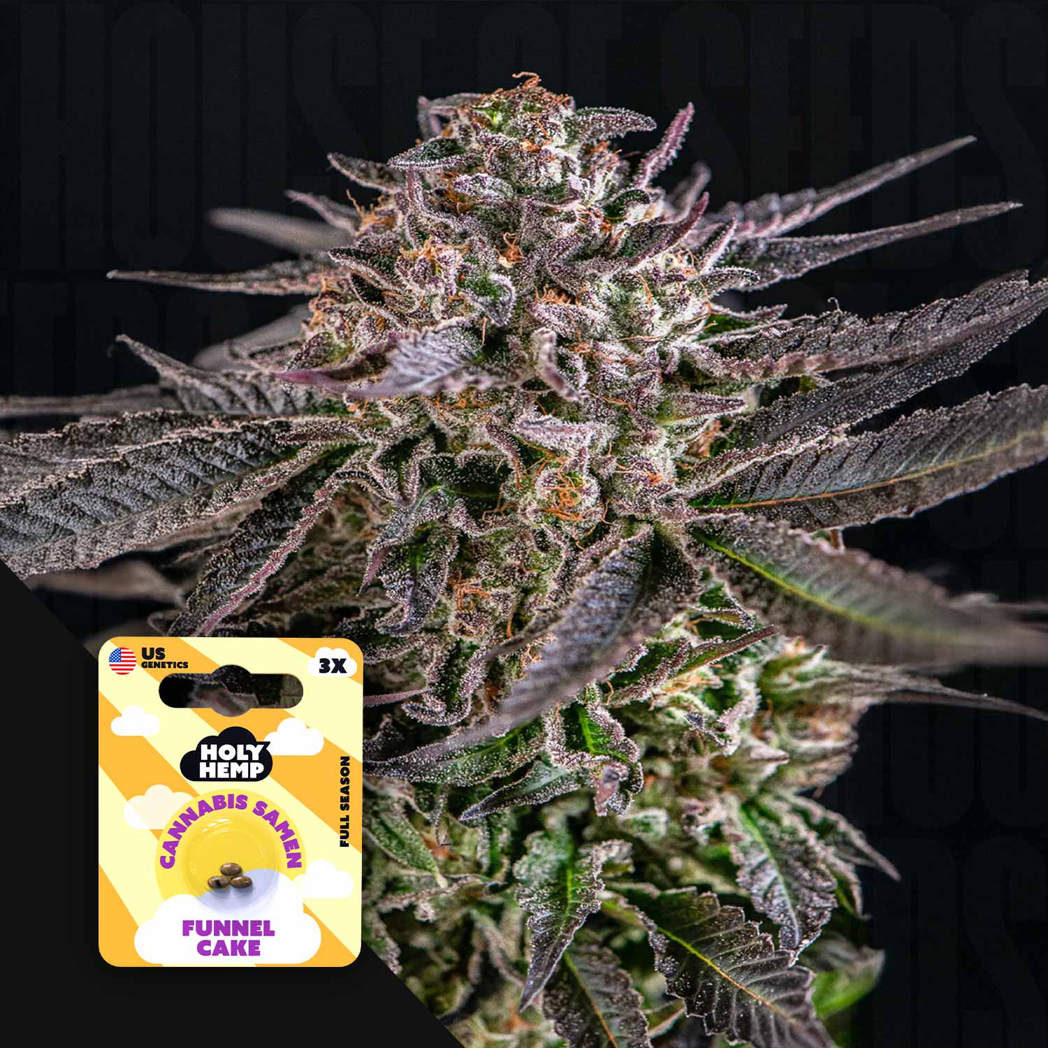 Funnel Cake - House of Seeds