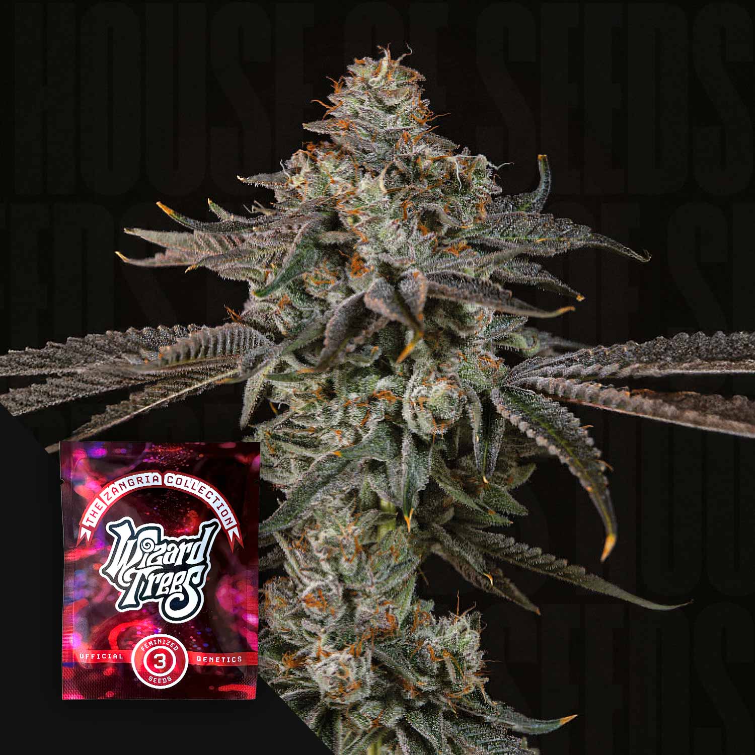 Gas Gimlet - House of Seeds