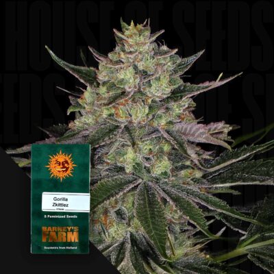 Gorilla Zkittelz - House of Seeds